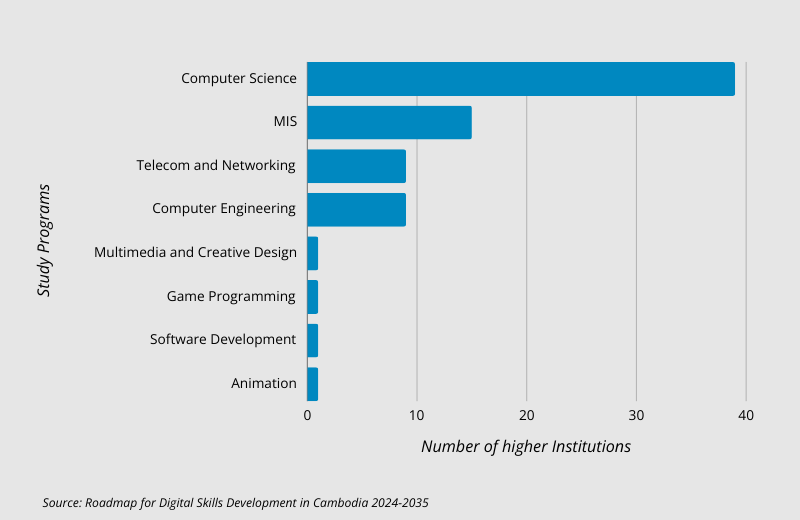 Digital Skills Programs Among higher institutions